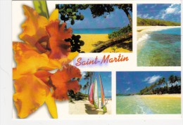 CPM De GUADELOUPE - SAINT MARTIN Divers Aspects - Saint Martin