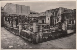 Cp , ITALIE , ERCOLANO , Casa Dell'Atrio A Mosaico: Peristilio E Giardino - Ercolano