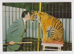ZOO DE JEAN RICHARD A ERMENONVILLE ZORRA TIGRESSE FAVORITE TIGRE - 1978 - 2 Scans - - Tigers