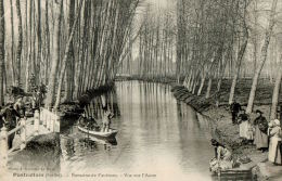 CPA PONTVALLAIN , Domaine De Fautreau , Vue Sur L'aune  Et Les Lavandières - Pontvallain