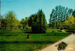 CPM PONTVALLAIN  , Le Prieuré , Le Parc - Pontvallain