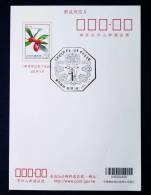 Bicycle Image Postal Cachet Of Taiwan 2012 Berry Plant Pre-Stamp Postal Card Fruit Flora - Enteros Postales