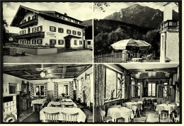 Pettendorf-Marquartstein  -  Wessnerhof Und Burgcafe  -  Mehrbild-Ansichtskarte  Ca.1961     (4062 ) - Chiemgauer Alpen