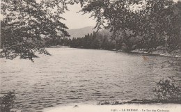 LA BRESSE (Vosges) - Lac Des Corbeaux - Sonstige & Ohne Zuordnung