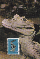 Carte Maximum BULGARIE N°Yvert 1607 (CROCODILE) Obl Sp 1968 - Briefe U. Dokumente