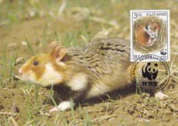 Carte Maximum BULGARIE N°Yvert 3573 (HAMSTER) Obl Sp Ill 1er Jour - Lettres & Documents