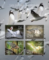 Niger. 2014 Water Birds. (524a) - Pelícanos