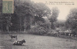 Saint-Nom-la-Bretèche 78 - Elevage Vaches Forêt De Marly - Cachet Postal 1920 - St. Nom La Breteche