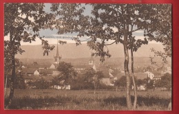 DVL-04 Payerne, Vue Générale, Message Au Dos Daté Du 21 Février 1914 - Payerne