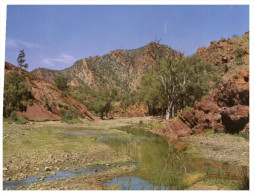 (799) Australia - SA - Flinders Ranges Brachina Creek - Flinders Ranges