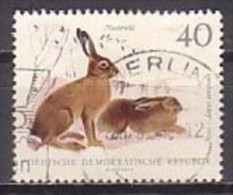 Feldhase, DDR 1362 , O ,  (G 1713) - Conejos