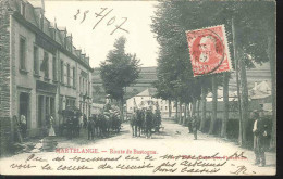 Cpa Martelange  1907   Attelages - Martelange