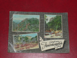 1965 Gruss Vom Hexentanzplatz Halberstadt  Harz Sachsen Anhalt Gebraucht Used Germany Postkarte Postcard - Halberstadt