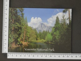 YOSEMITE NATIONAL PARK - USA - 2 Scans (Nº10609) - Yosemite