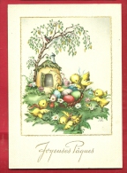 DVO2-15 Joyeuses Pâques, Poussins Oeufs Fleurs Et Petite Chaumière. Grand Format, Circulé Sous Enveloppe - Pâques