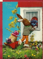 DVO2-19 Frohe Ostern, Joyeuses Pâques. Lapin Portant Un Oeuf Géant. Circulé, Grand Format - Pâques