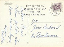 Croatian League Against Cancer 1966-1986 - Help Her Actions, Virovitica, 22.12.1987., Yugoslavia, Postcard - Otros & Sin Clasificación