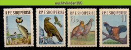 Mwe1845 FAUNA VOGELS PATRIJS FUUT KORHOEN EAGLE PARTRIDGE PERDIX BIRDS VÖGEL AVES OISEAUX ALBANIA SHQIPERISE 1963 ONG/LH - Collections, Lots & Séries