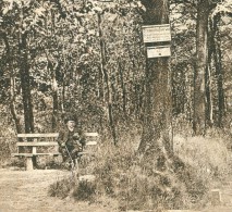 Rare Bad Soden Taunus Partie Bei Der Cronberger Chaussee Schild Promenadenfahrweg Personen Auf Parkbank 21.7.1919 - Bad Soden