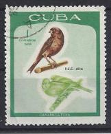 Cuba  1968  Canary Breeding  (o)  1c - Usati