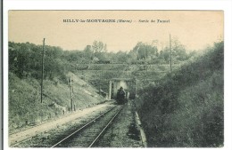 RILLY LA MONTAGNE - Sortie Du Tunnel ( TRAIN - GARE - CHEMIN DE FER ) - Rilly-la-Montagne