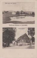Delcampe - AK Gruss Liebenau Voigts Gasthof Bei Lauenstein Altenberg Geising Bärenstein Breitenau Fürstenwalde Müglitz Fürstenau - Lauenstein