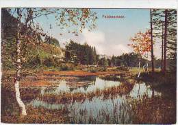 FELDSEEMOOR . FELDBERG . SCHWARZWALD - Feldberg