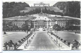 CPSM Vienne Wien Schonbrunn - Château De Schönbrunn