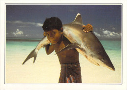 Asie > MALDIVES  (A) Islands White Tipped Shark Carried By A Young Child (enfant -requin à Pointe Blanche)   *PRIX FIXE - Maldives