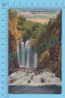 US - South Dakota( Rough Lock Falls At Black Hills  CPSM    Linen ) Recto/Verso - Other & Unclassified