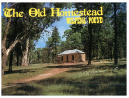 (699) Australia - SA - Wilpena Pound Old Homestead - Flinders Ranges