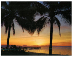 (699) Australia - QLD - Green Island At Sunset - Great Barrier Reef