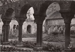 Cp , 29 , DAOULAS , Le Cloître De L'ancienne Abbaye Romane Avec Ses élégantes Colonnettes Du XIIIe S. - Daoulas