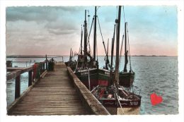 24938-LE-80-CAYEUX-Le Hourdel-Le Port----------bateaux - Le Hourdel