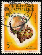 COMORES 1962 - Yv. 22 Obl.   Cote= 4,50 EUR - Coquillage Turbo Marmoratus ..Réf.AFA21869 - Used Stamps