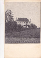 ANZEGEM : Het Groote Witte Huis (pastorie) - Anzegem