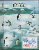 Antarctica - T.A.A.F.2013, Penguins, Antarctic, MNH 20168 - Nuovi