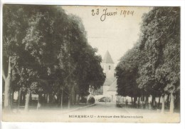 CPA PIONNIERE MIREBEAU (Vienne) - Avenue Des Marronniers - Mirebeau