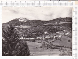 LE  CHATELARD   -  Le  Mont  Julioz - Le Chatelard