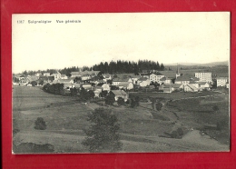 DSR-01 Saignelégier Franches-Montagnes. Vue Générale, Non Circulé - Saignelégier