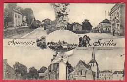 49 Souvenir De SEICHES - Seiches Sur Le Loir