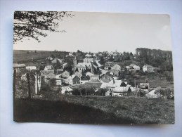 Réf: 38-15-13.       DOCHAMPS   Panorama Du Village Pris De Biertoumont.    ( Glacée ) - Manhay