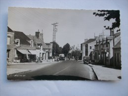 Réf: 63-9-8.           LA FERTE SAINT-AUBIN     La Pomme De Pin.  ( Glacée ). - La Ferte Saint Aubin