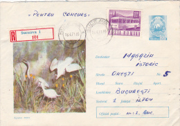 5071A BIRDS, LAKE LANDSCAPE, 1971, COVER, REGISTRATED , POSTAL STATIONARY, SEND TO MAIL, ROMANIA - Storchenvögel