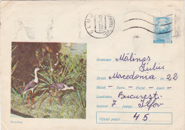 5074A LONG LEG BIRDS, 1971, COVER, POSTAL STATIONARY, SEND TO MAIL,  ROMANIA - Storchenvögel
