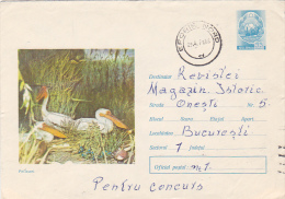 5076A PELICANS WITH LANDSCAPE, 1971, COVER, POSTAL STATIONARY, SEND TO MAIL,  ROMANIA - Pélicans
