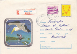 5091A PELICANS, 1971, REGISTRATE, COVER STATIONARY, SEND TO MAIL, ROMANIA - Pelicans