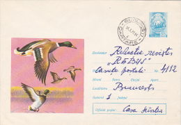 5092A GEESE, 1972, COVER, POSTAL STATIONARY, SEND TO MAIL, ROMANIA - Gänsevögel