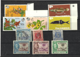 =GAMBIA LOT Fische - Gambia (1965-...)