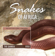 Gambia-2015-Fauna-Reptiles-Snakes Of Africa - Gambia (1965-...)